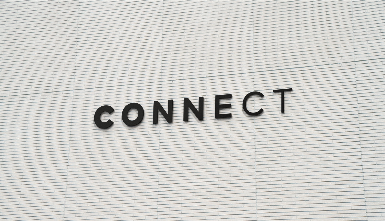 Lưu ý thiết kế logo cho trường học cùng The Monest